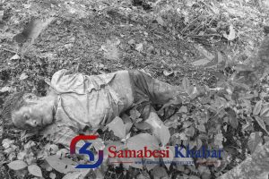 जंगली हात्तीको आक्रमणबाट एकजनाको मृत्यु