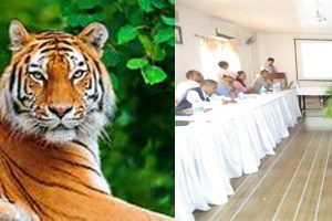 बाघको आहार प्रजातिको घनत्व घट्यो