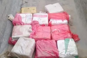 चितवनमा २२० केजी गाँजा सहित एकजना पक्राउ