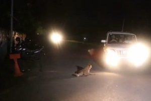 पत्रकार पुडासैनी मृत्यु प्रकरण : भिडियो सार्वजनिक पछि बल्ल तात्यो प्रहरी , ३ जना नियन्त्रणमा