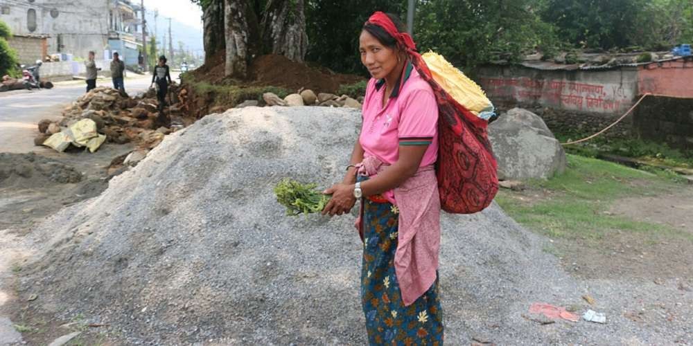 एक सिजनमै निउरो बेचेर ६० हजार आम्दानी
