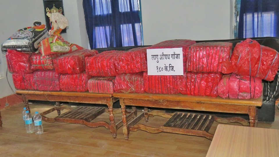 महोत्तरीमा कुखुराको खोरबाट सय ८० किलोग्राम गाँजा बरामद