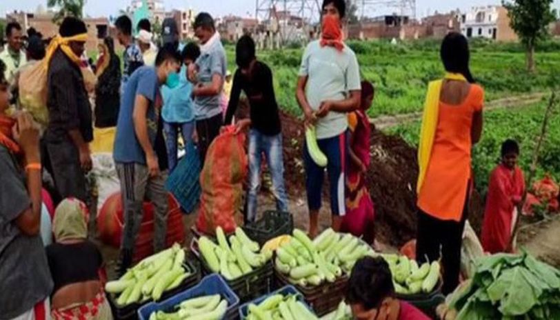 Farmers unable to take vegetables to market