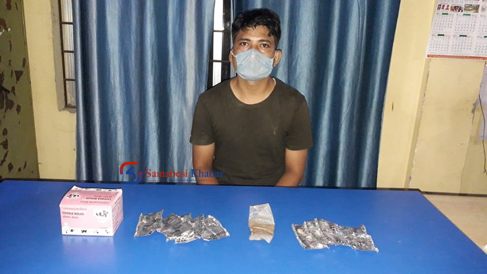 झापामा एग्रोभेट पसलबाट ब्राउन सुगर सहित एकजना पक्राउ