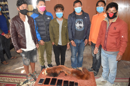 ललितपुरबाट रेड पाण्डाको छालासहित ६ जना पक्राउ