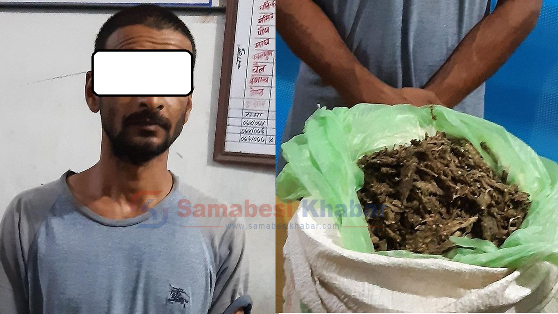 लागुऔषध गाँजा सहित चितवनमा एक व्यक्ति पक्राउ