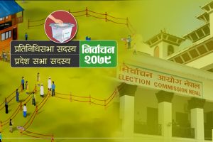 नेप्से दाेहाेराे अंकले वृद्धि, ९२ करोडको कारोबार