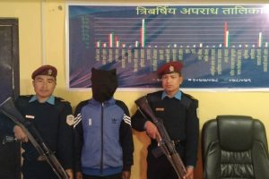 बसबाट ३९ केजी गाँजा बरामद