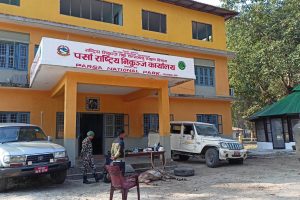 निकुञ्जमा वन्यजन्तुकाे सिकार गर्ने पाँचजना पक्राउ