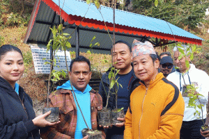 श्रम पार्कमा पुग्यो ‘ह्यारी की प्यारी’ फिल्मको टोली, मेयर हर्क साम्पाङलाई रुद्राक्षको विरुवा हस्तान्तरण