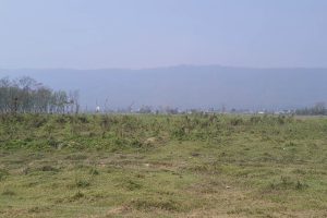 नेपाल विश्वविद्यालय निर्माणका लागि गैँडाकाेटले एक सय बिघा जग्गा दिने