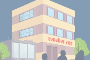 १५४ पालिकाले बुझाएनन् बजेट पारित भएको विवरण