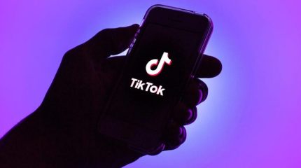 टिकटकले नेपालमा २४ लाख ७६ हजार भिडियो हटायो