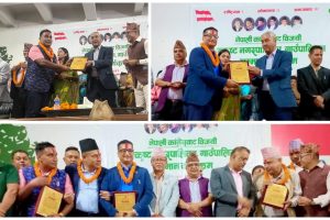 उत्कृष्ट कार्यसम्पादन गर्ने खैरहनी र रत्ननगरका मेयर सम्मानित