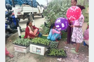 सागसब्जीका बेर्ना बेचेर वार्षिक २६ लाख आम्दानी