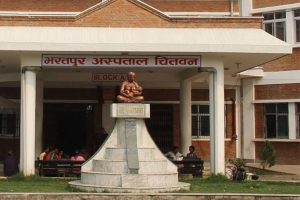 भरतपुर अस्पतालमा ‘निलो रूख’ स्थापना