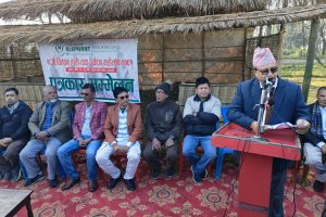 सौराहामा पौष ११ देखि चितवन हात्ती महोत्सव : राष्ट्रपति पौडेलले उद्घाटन गर्ने
