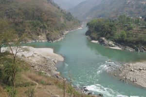 त्रिशूली नदी किनारमा पुरुषको शव फेला