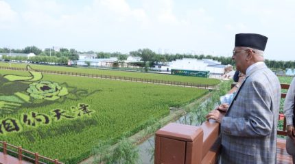 प्रधानमन्त्री ओलीद्वारा चीनको थियानजिनमा धान खेती अवलोकन
