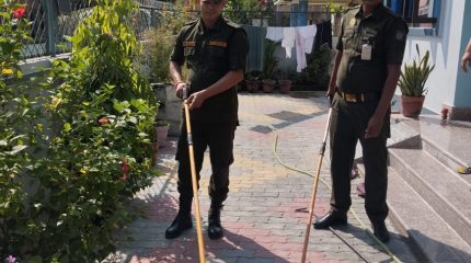 धनगढी उपमहानगरद्वारा ३ हजार १०० भन्दा बढी सर्प उद्धार