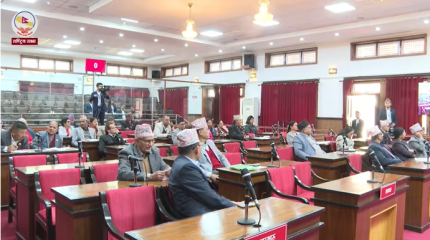 राष्ट्रियसभाबाट ‘चलचित्र विधेयक, २०८१’ सर्वसम्मतिले पारित