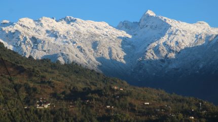 ताप्लेजुङका उच्च हिमाली क्षेत्रमा बाक्लो हिमपात, डाँडाकाँडा सेताम्मे
