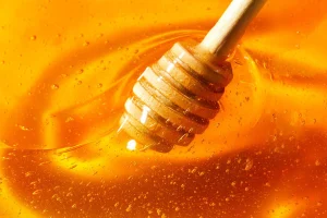 मौरीपालनबाट कास्कीको रुपामा ७ सयभन्दा बढीलाई रोजगारी