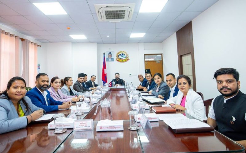 धितोपत्र बोर्ड अध्यक्ष चयनका लागि सिफारिस समिति गठन