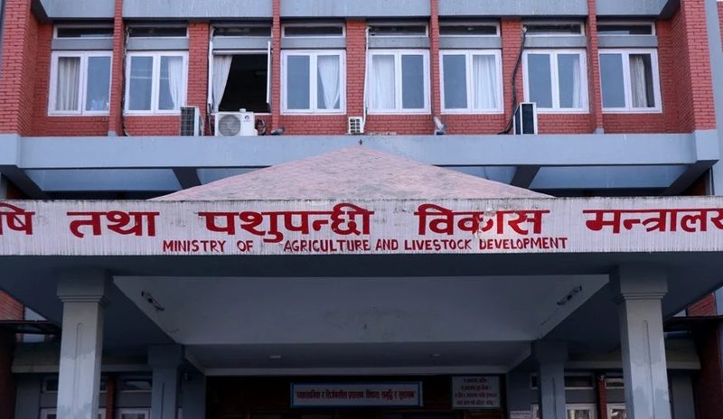 त्रिपुरेश्वरको बागमती स्विट्समा अखाद्य सामग्री भेटिएपछि उत्पादन र बिक्रीमा रोक