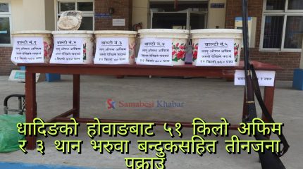 धादिङमा लागुऔषध अफिम र भरुवा बन्दुक सहित तीनजना पक्राउ