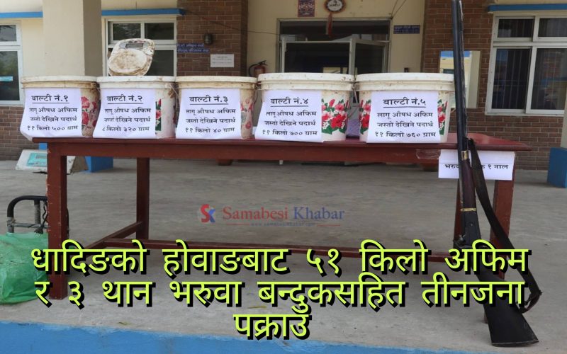 धादिङमा लागुऔषध अफिम र भरुवा बन्दुक सहित तीनजना पक्राउ