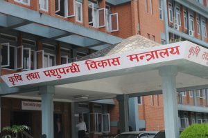 सातै प्रदेशमा पहिलो पटक कृषि गणना सञ्चालन, मन्त्रालयद्वारा आन्तरिक जनशक्ति प्रयोग