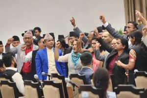 प्रतिपक्षीको नाराबाजीबीच वैकल्पिक विकास वित्त परिचालन विधेयक पारित