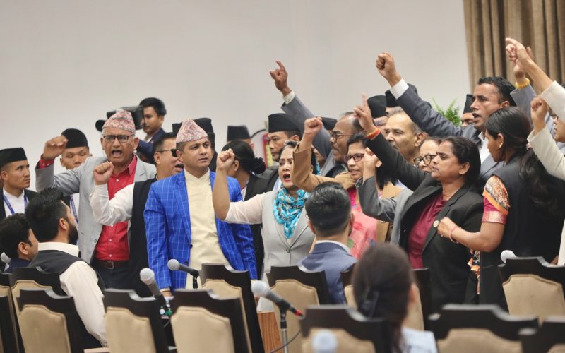 प्रतिपक्षीको नाराबाजीबीच वैकल्पिक विकास वित्त परिचालन विधेयक पारित