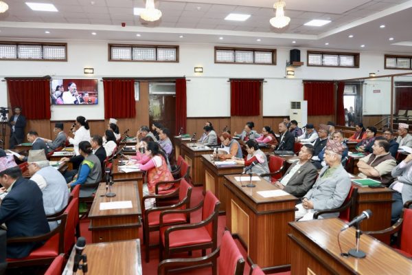 राष्ट्रियसभामा बजेटमाथि प्रश्नैप्रश्न, कार्यान्वयन क्षमता र ऋणभारबारे चिन्ता