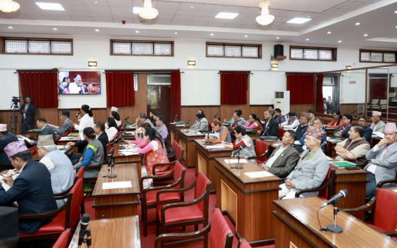 राष्ट्रियसभामा बजेटमाथि प्रश्नैप्रश्न, कार्यान्वयन क्षमता र ऋणभारबारे चिन्ता