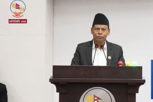 राष्ट्रिय सहमतिका आधारमा संविधान संशोधन अघि बढाउन सांसद हमालको सुझाव