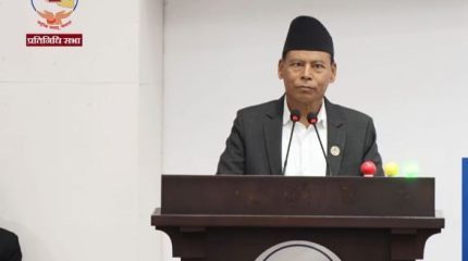 राष्ट्रिय सहमतिका आधारमा संविधान संशोधन अघि बढाउन सांसद हमालको सुझाव