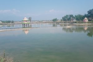 प्रचारप्रसारको अभावमा ओझेलमा दाङको गौरीगाउँ ताल
