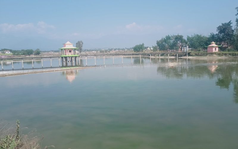 प्रचारप्रसारको अभावमा ओझेलमा दाङको गौरीगाउँ ताल