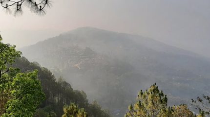 चितवनमा २४ घण्टामै ३१९.८ मिमी वर्षा, नारायणी आसपास डुबानको जोखिम उच्च