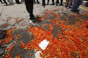 उचित मूल्यको माग गर्दै किसानले माइतीघरमा गोलभेँडा फाले