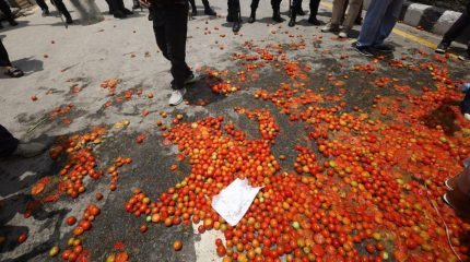 उचित मूल्यको माग गर्दै किसानले माइतीघरमा गोलभेँडा फाले