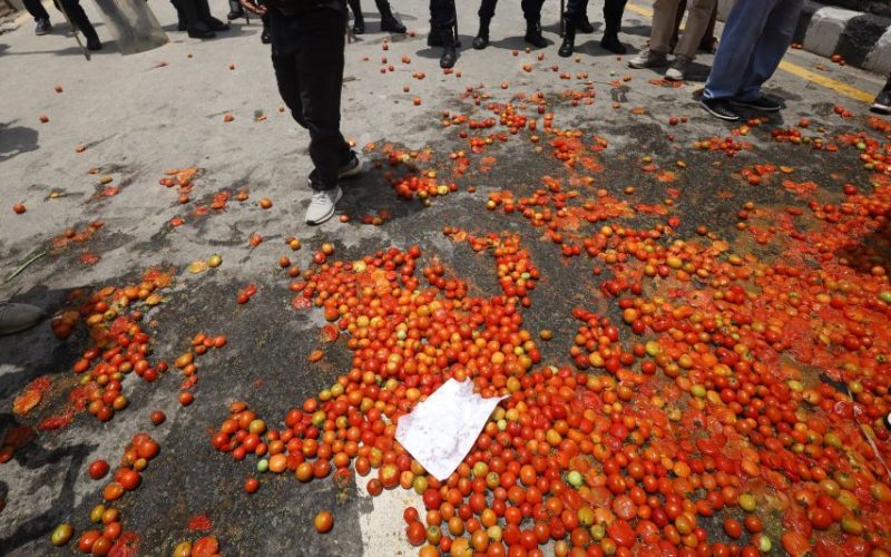 उचित मूल्यको माग गर्दै किसानले माइतीघरमा गोलभेँडा फाले
