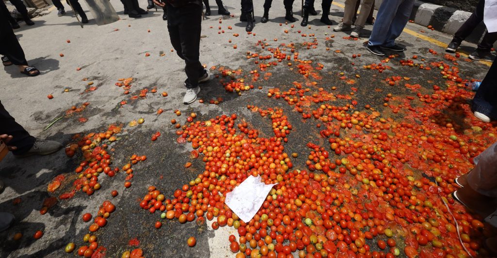 उचित मूल्यको माग गर्दै किसानले माइतीघरमा गोलभेँडा फाले