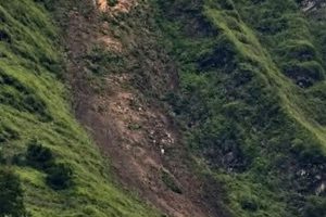 रोल्पा पहिरोमा बेपत्ता दुई महिलाको शव फेला, एक घाइतेको उपचार जारी
