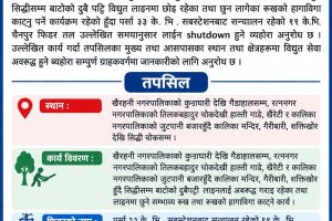 पुर्विचितवनका केही क्षेत्रमा मंगलबार विद्युत सेवा अवरुद्ध हुने: रुखका हाँगा काट्न लाइन ‘सटडाउन’ गरिंदै