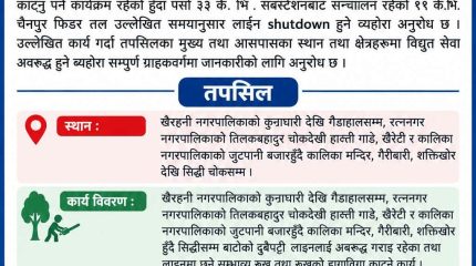 पुर्विचितवनका केही क्षेत्रमा मंगलबार विद्युत सेवा अवरुद्ध हुने: रुखका हाँगा काट्न लाइन ‘सटडाउन’ गरिंदै