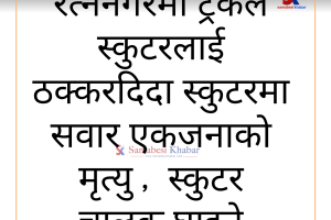 रत्ननगरमा ट्रकको ठक्करबाट स्कुटरमा सवार एकजनाको मृत्यु, चालक घाइते