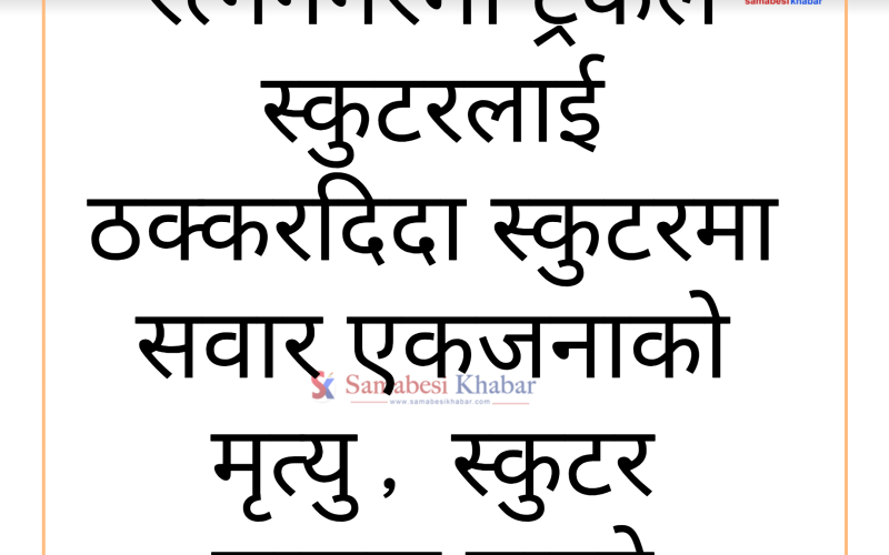 रत्ननगरमा ट्रकको ठक्करबाट स्कुटरमा सवार एकजनाको मृत्यु, चालक घाइते